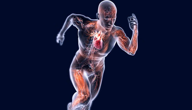 OSTEOPATIA APPLICATA ALLO SPORT